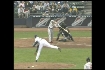 Kennedy's sac fly