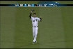 Kubel's sac fly 