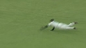 Dye's diving catch 