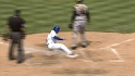 Johnson's sac fly 