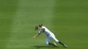 Johnson's diving stop 