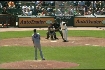 Molina's sac fly