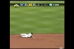 Wilson's diving stop 