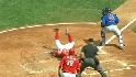 Patterson's sac fly
