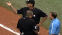Umpire gets hit