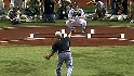 Rays raise the AL pennant