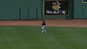 Bay's sac fly