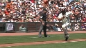 Ishikawa's sac fly