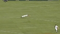 Hill's diving stop