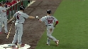 Rasmus' sac fly