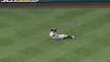 Snider's sliding grab