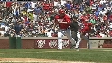 Murphy's sac-fly