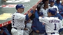 Fukudome's sac fly