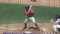 Red Sox grab Beltran's cousin