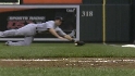 Branyan's diving stop
