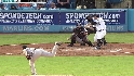 Ross' RBI double