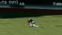 Kapler's fine snag
