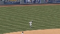 Castro's nice catch