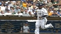 Cameron's sac fly