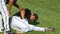 Nieve's injury