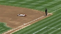 Wood's diving stop