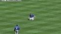 Hamilton's sliding grab