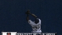 Cameron's catch at the wall