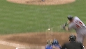 Dunn's big fly