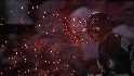 Quentin's grand slam