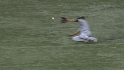 Wells' sliding grab