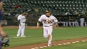 Davis' sac fly