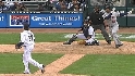 Young's sac fly