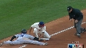 Fowler's sac fly