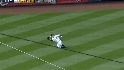 Damon's sliding catch