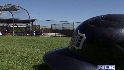 30 Clubs in 30 Days: Tigers