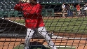 Torii on Halos' dominance