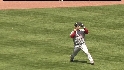 Ramirez's sac fly