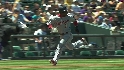 Guzman's sac fly