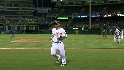 Chavez's sac fly