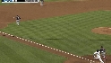 Ethier's sac fly