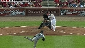 Ludwick's sac fly