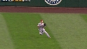 Gutierrez's sac fly