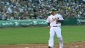 Crisp's sac fly