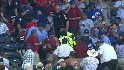 Fan falls from the stands