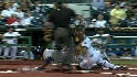McGehee's sac fly