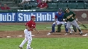 Suzuki's sac fly