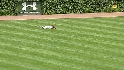 Nix's diving catch