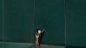 Crisp's dazzling catch