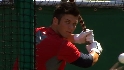 Harper takes BP