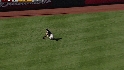 Braun's nice catch